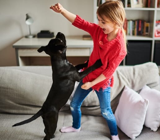 Child playing with dog