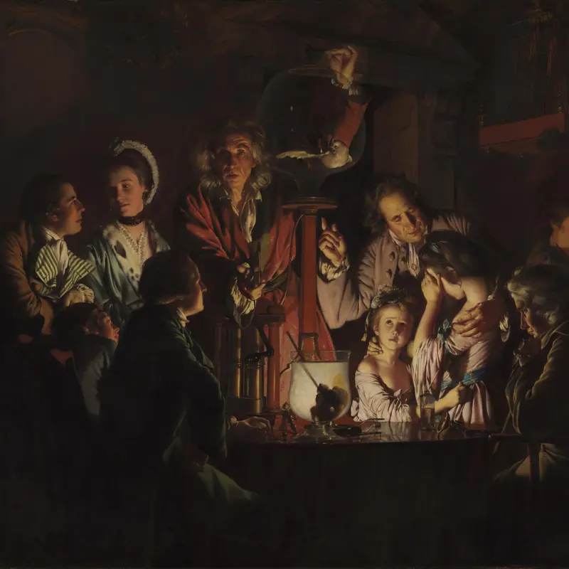 An Experiment on a Bird in the Air Pump