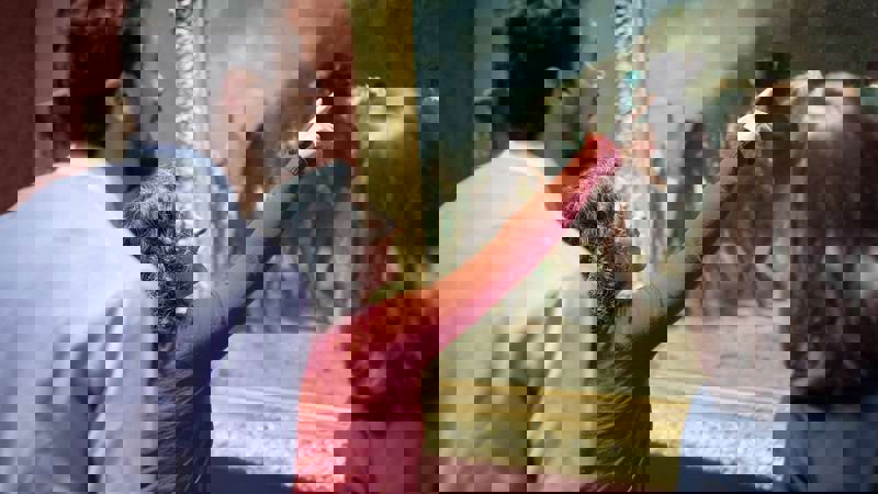 Person Pointing In Front Of Painting