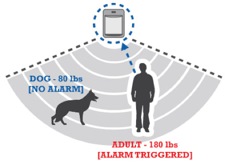 Graphic showing how motion sensor is triggered