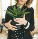 Woman holding a fake plant