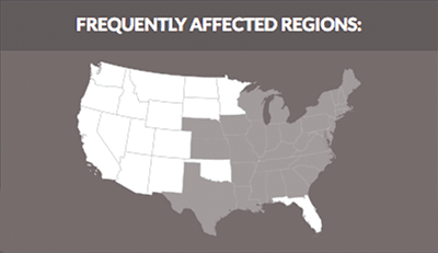 Wildfire Map